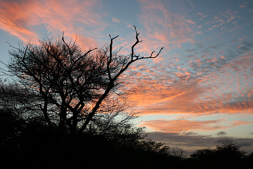 Kruger National Park, South Africa